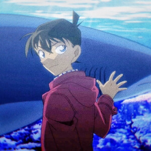 “或许杀一个人
需要充分的动机
但在情急下救一个人
是不需要任何理由的”
——工藤新一