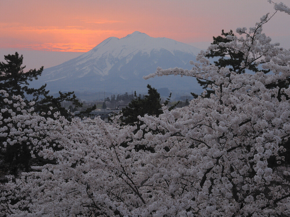 背景图