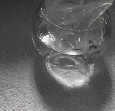 是这样宝们，我奶奶住院了，然后我得去我爸那，我爸不让我玩手机，所以我就不能更新，抱歉抱歉，麻烦多多字词小鞠那组靴靴！