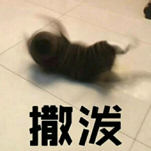 高清图片,堆糖,美图壁纸兴趣社区