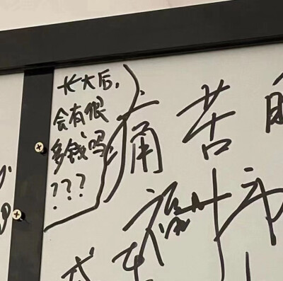 我们去约会