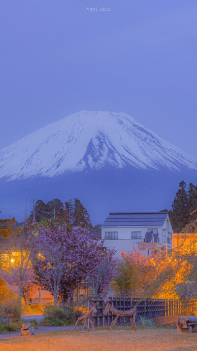 富士山 摄影@MoLana