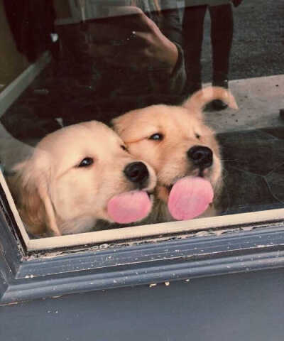 背景图 图源各处 侵权删