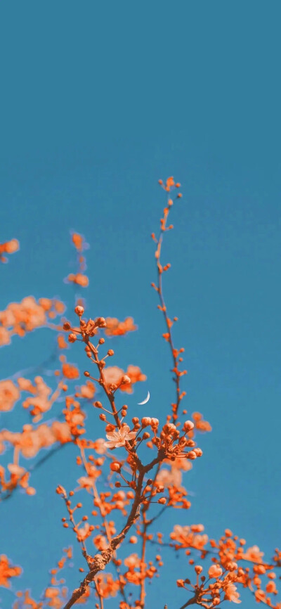 qq个性名片 风景图片