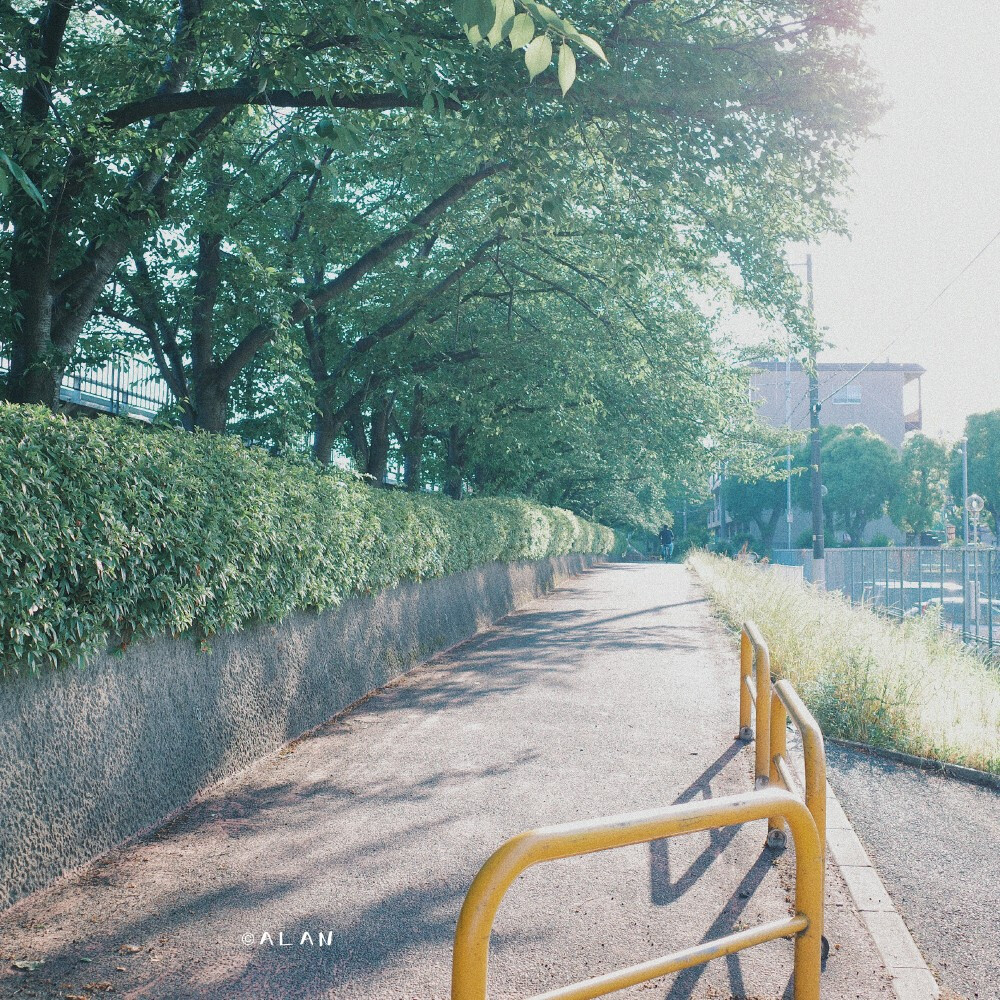 骑行神崎川
摄影：@日本旅拍摄影_阿蓝 ​