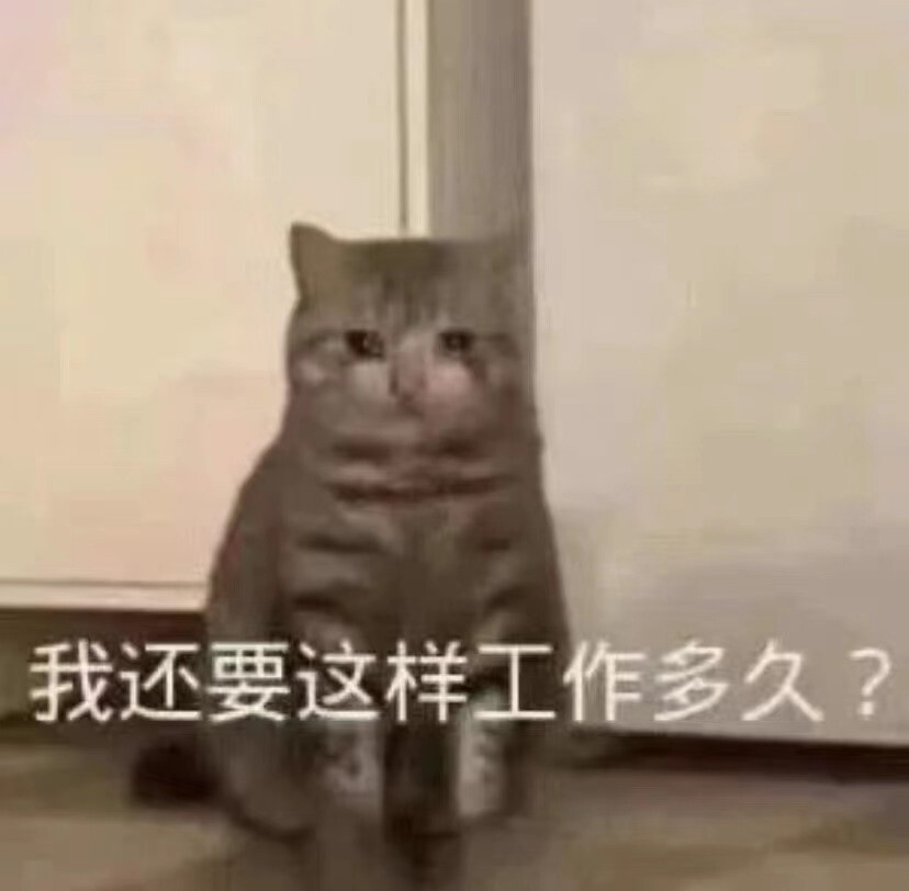 表情包
