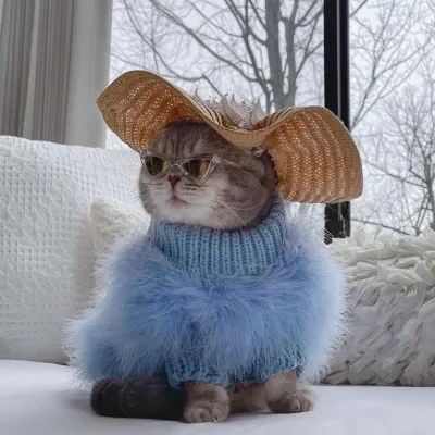 稀罕收藏点赞哦！