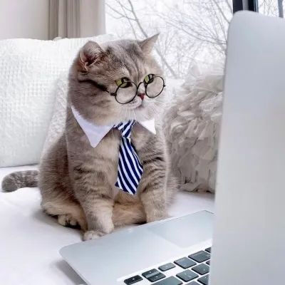 稀罕收藏点赞哦！