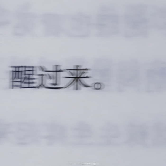  海鳥は魚と愛し合っている
*海鸟与鱼相爱