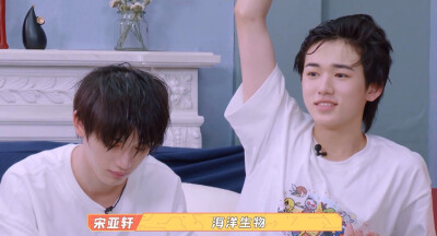 鑫轩可二改 注标