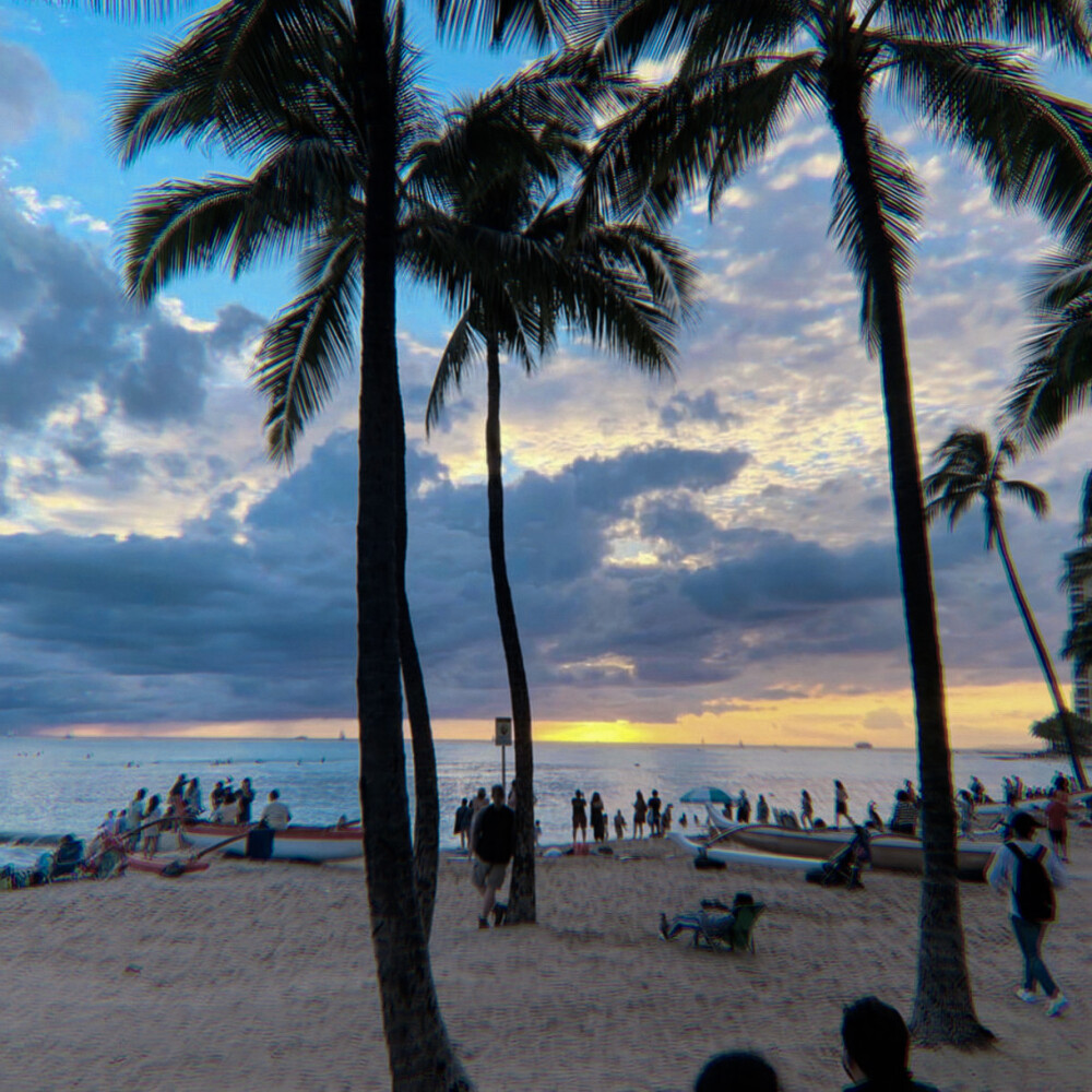 
Hit me where it hurts : 加福尼亚