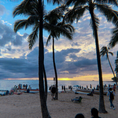 
Hit me where it hurts : 加福尼亚