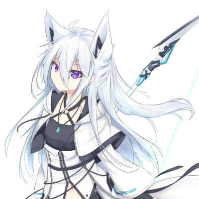 二传注明堆糖id