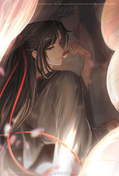 MDZS