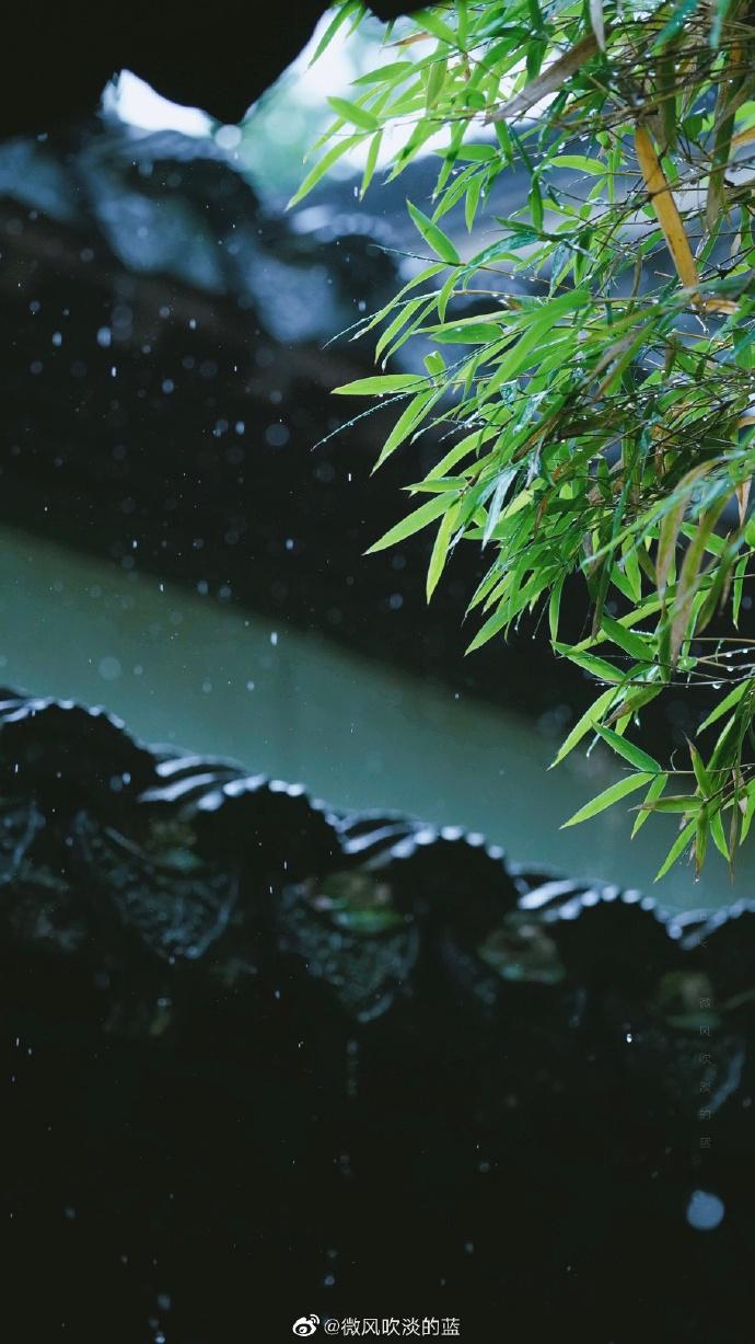 檐雨竹潇潇