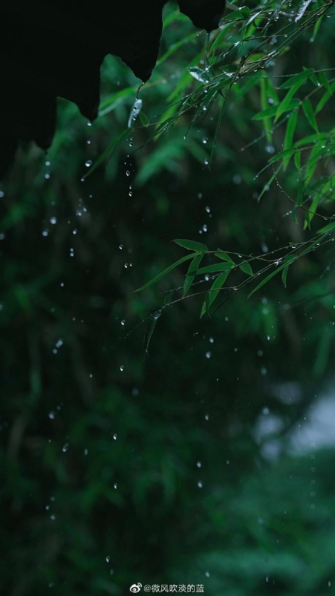 檐雨竹潇潇