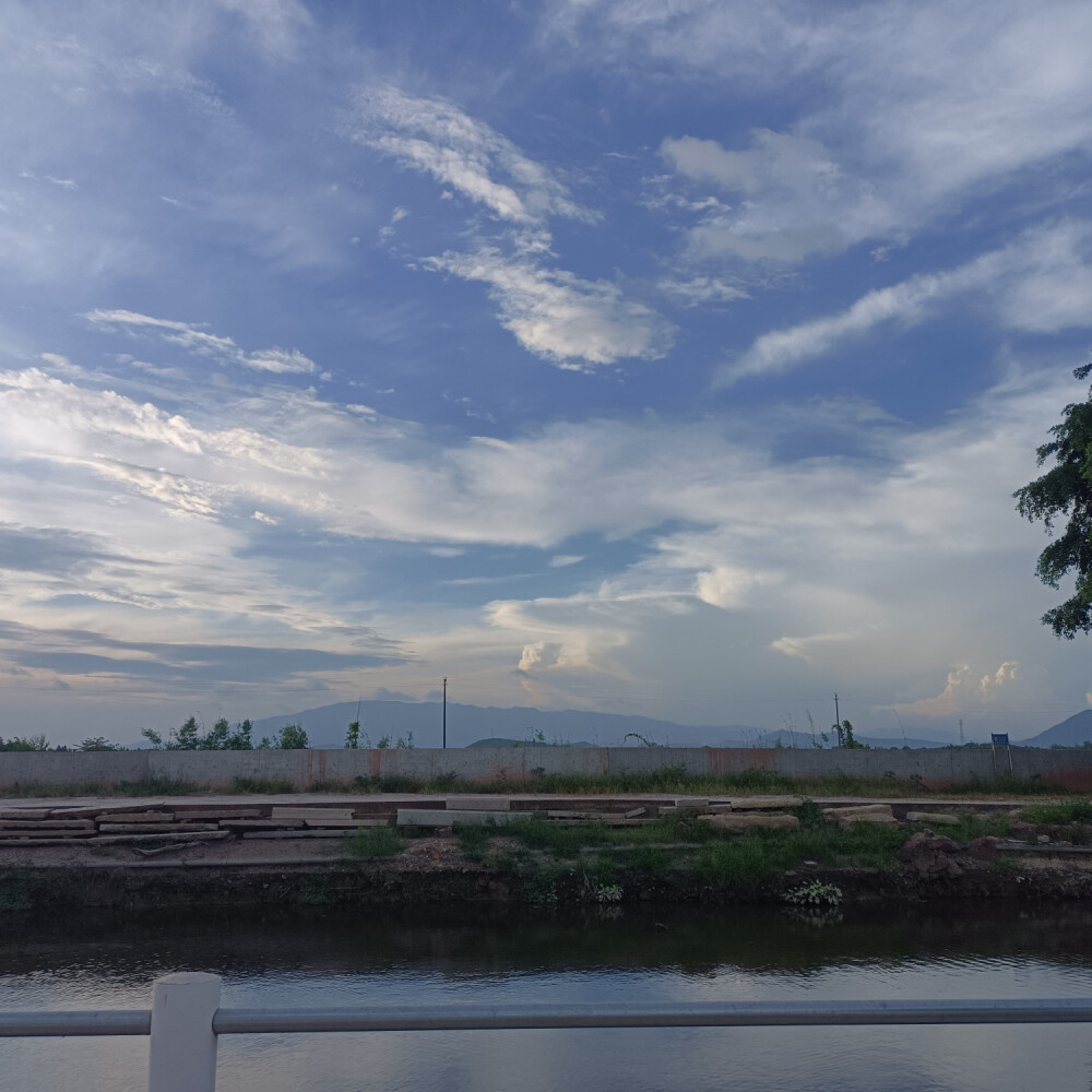 周星驰：“要什么避风港，钞票才是梦想”