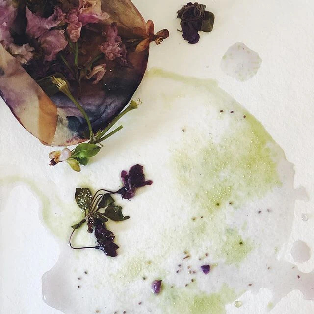 卡拉玛丽与知名的花店合作，回收他们已经无法卖给客户的植物、花草、树皮、树根、枝叶、果实、果壳；另外与知名的餐厅合作，将蔬菜、果实回收用来染色。