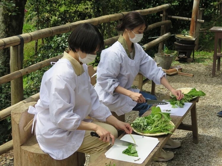 #有村架纯[超话]# X#二阶堂富美[超话]#
村花和富美的“special休息日”特别节目「富美和架纯的休息日」将于7月4日（周日）晚上7点在BSフジ台播出。
村花和富美从2016年的电影#何者[电影]# 共演后成为了好朋友。这次二人终于通过节目实现了曾经的“两个人一起去东京的深山里过周末”的计划。[抱一抱] ​​​