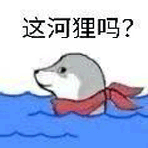 这河狸吗