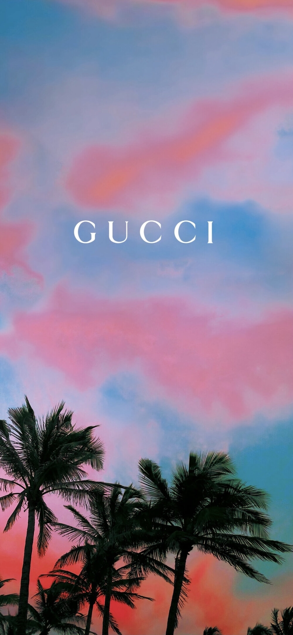 Gucci Prada壁纸
侵删