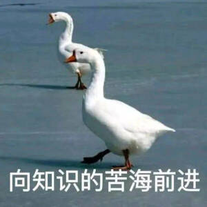时代变了 我想开了