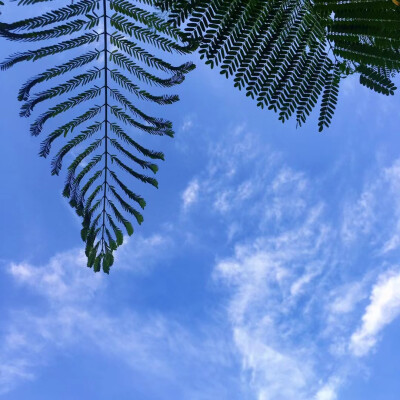 蔚蓝色的天空最迷人~