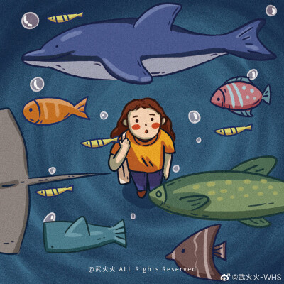 自然海洋生物插画素材收集