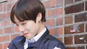 朴志训橙光素材