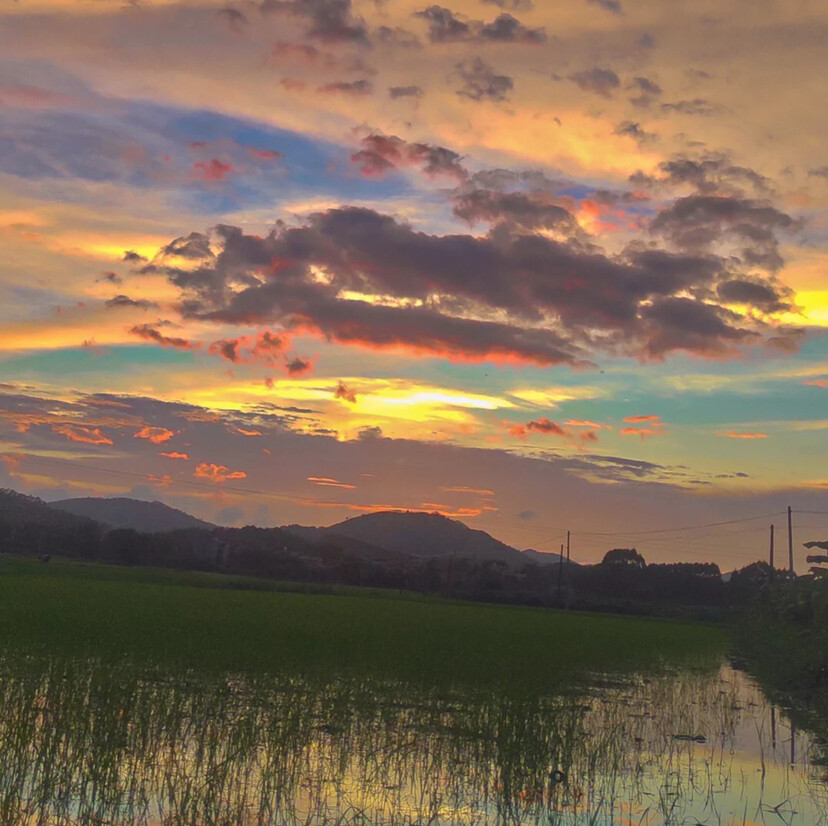 彩色天空 黄昏 落日 电线杆 云朵 背景图 壁纸 说说配图 