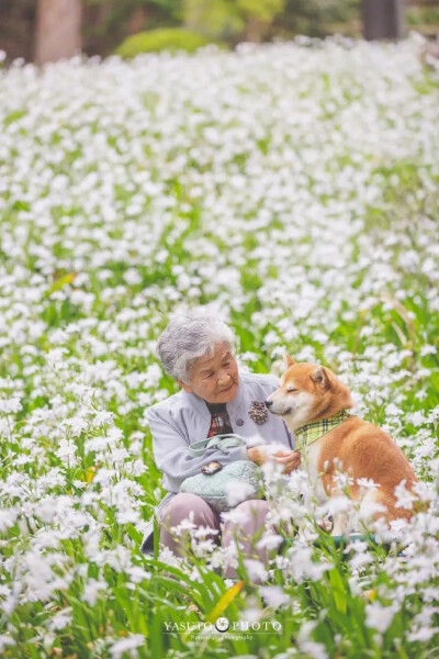 犬与老奶奶的美好生活
