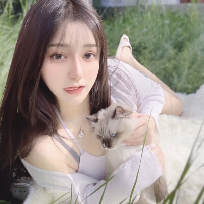 二传注明dt邪/林可