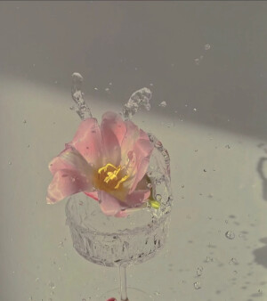 花花头像