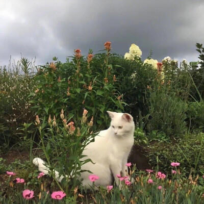 夏 天 来 了 那 你 来 不 来 ​​​