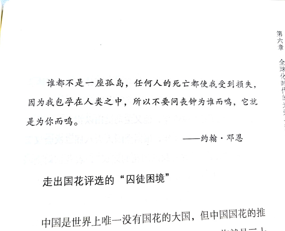 我所做的 不过是精卫所衔的一枝微木