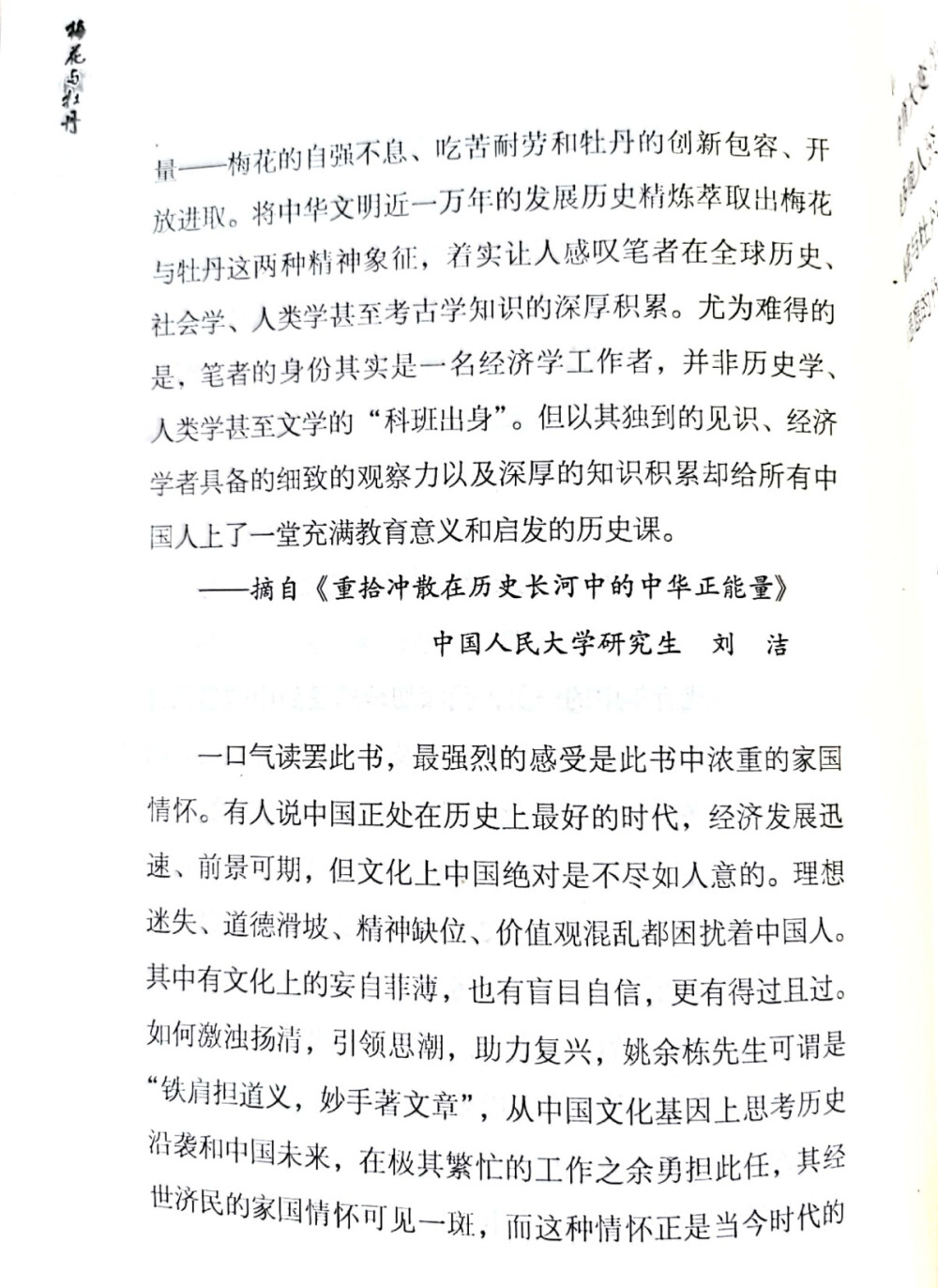 我所做的 不过是精卫所衔的一枝微木