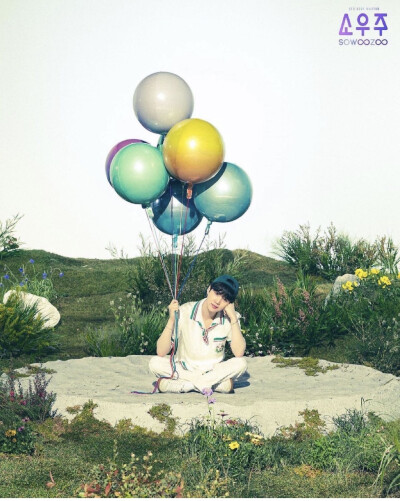 又是爱防弹的一年