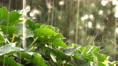 雨天