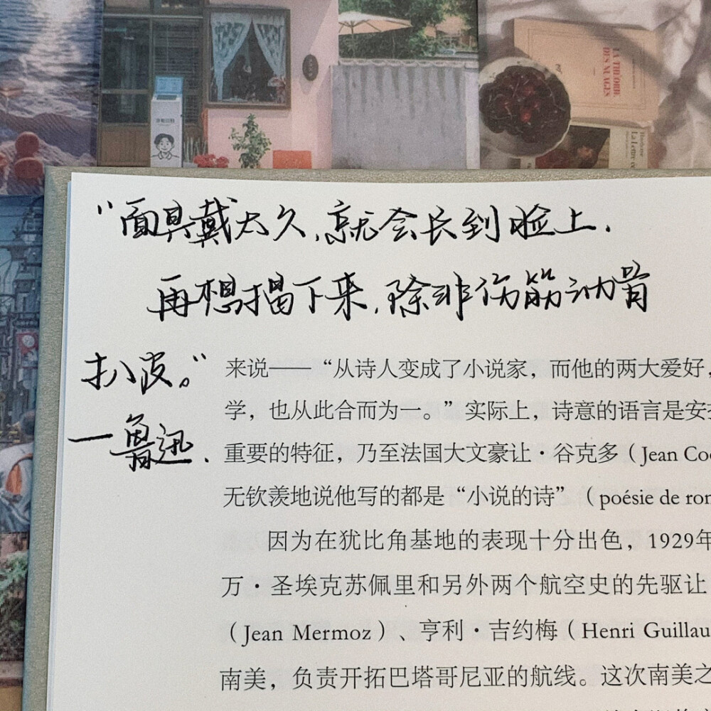 语录分享 | 鲁迅语录
©️小熊手写-