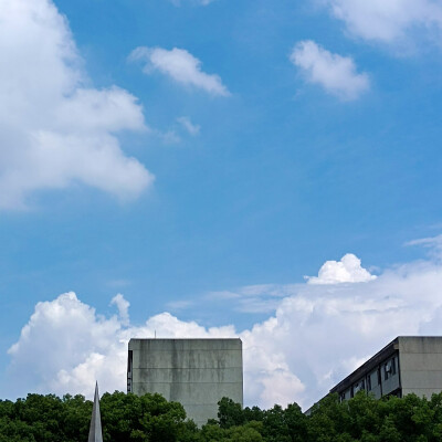 今天天气好好