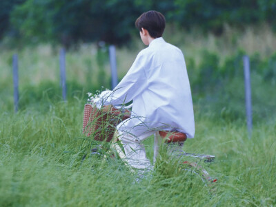 夏野了 王源