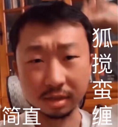 藏狐表情包