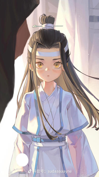 魔道祖师 画师:双手失明了没办法（六月）