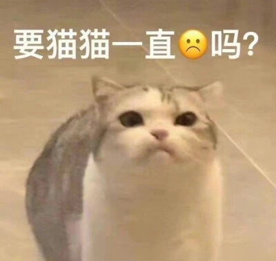 表情包