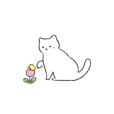 猫咪插画师:nang_nang_studio ​ ​​