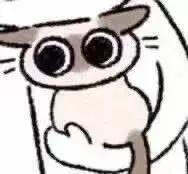 暹罗猫表情包