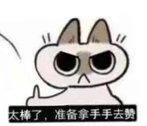 暹罗猫表情包
