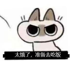 暹罗猫表情包
