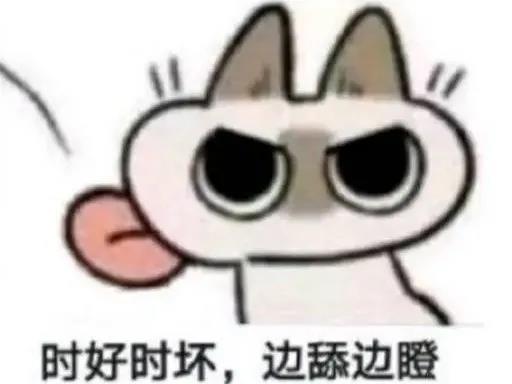 暹罗猫表情包