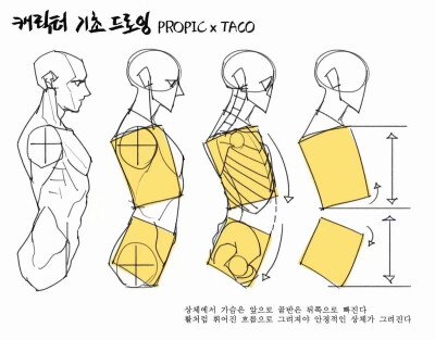 绘画素材ins：taco1704